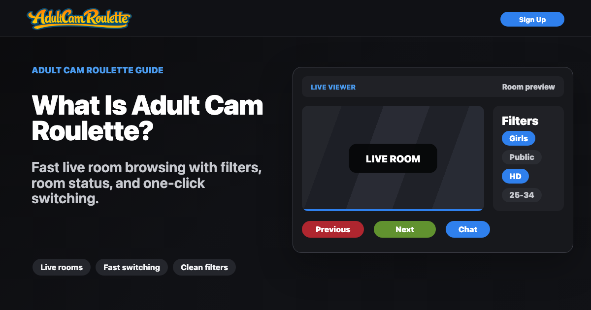 Adult Cam Roulette live viewer with filters, room preview, and switching controls